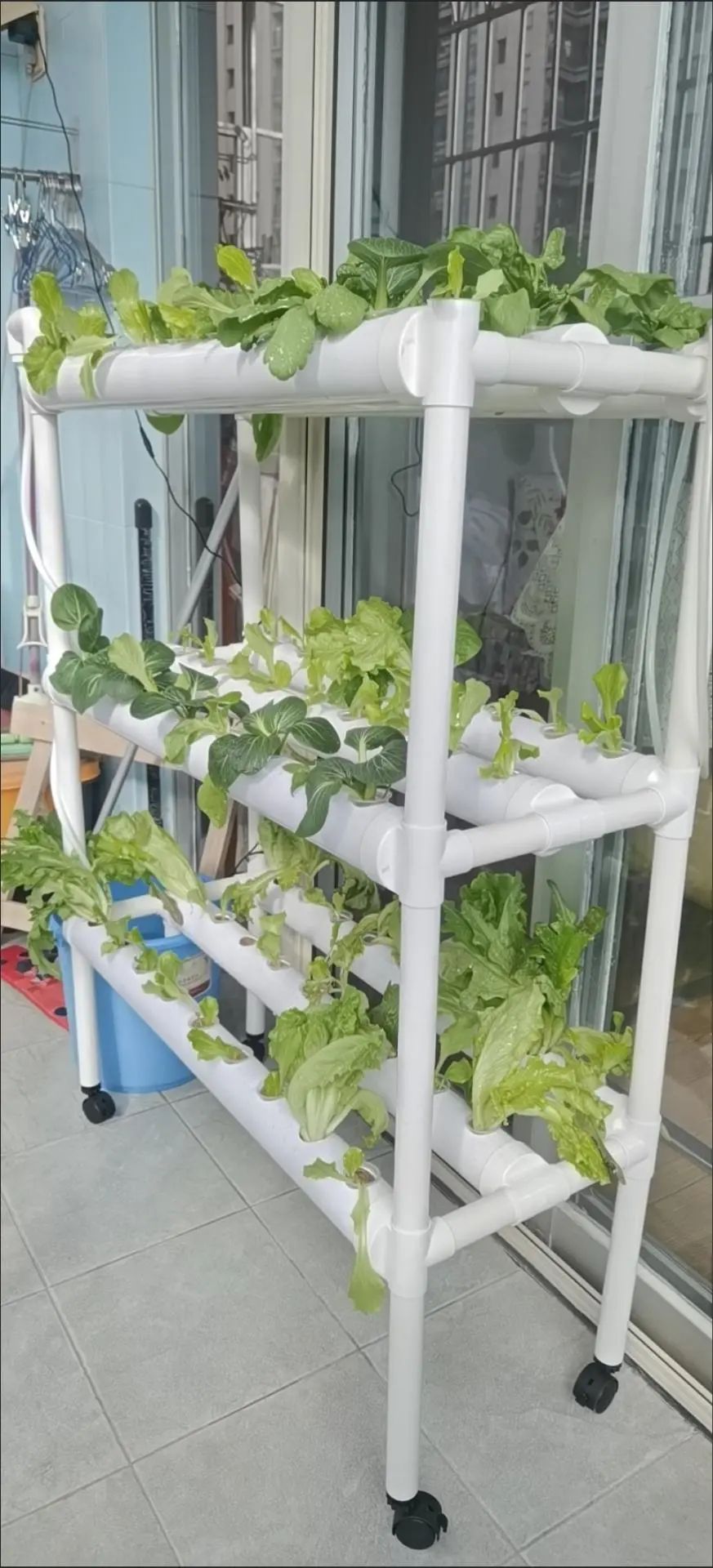 중국산 재배 텐트 실내 식물 재배용 메이지우 600D  - Grow Tent 4X4 리뷰 및 가격