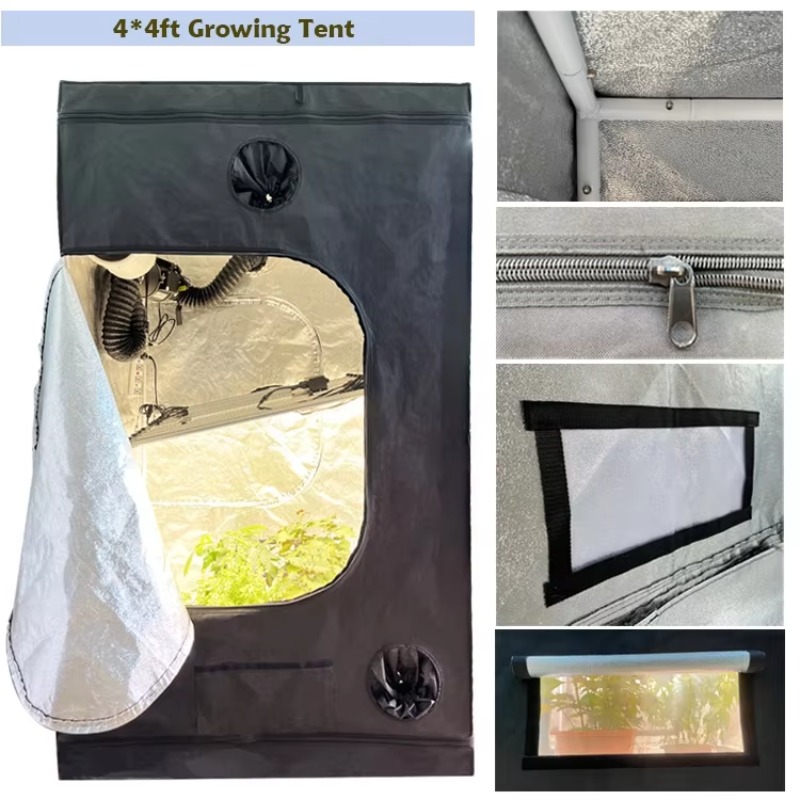 4x4 재배 텐트 완전 세트 480W LM301H Ev - Grow Tent 4X4 리뷰 및 가격
