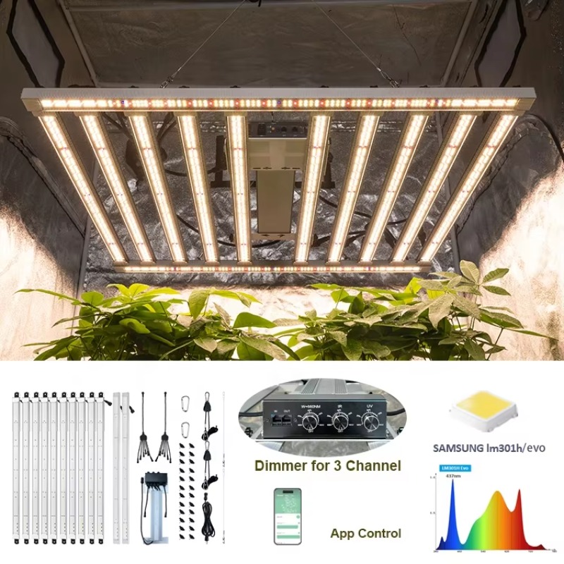 4x4 재배 텐트 완전 세트 480W LM301H Ev - Grow Tent 4X4 리뷰 및 가격